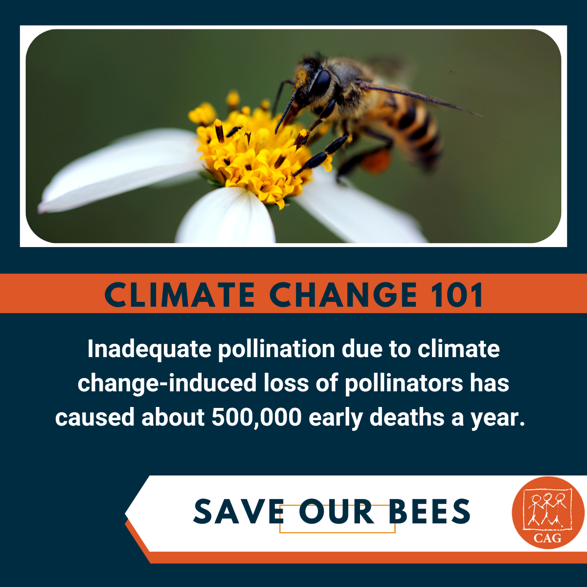 climate-change-save-our-bees-cag